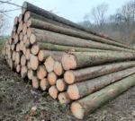 Fichtenstammholz – 2 LKW-Ladung (100 rm) – PEFC-zertifiziert