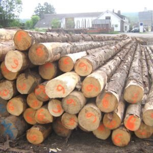laub-hartholz-gemischt-stammholz-stapel.jpg Laub-Hartholz Stammholz (gemischt) – 1 LKW-Ladung (50 rm) – PEFC – Bild 1
