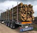 Nadelholzstammholz (gemischt) – 3 LKW-Ladung (150 rm)