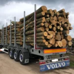 Nadelholzstammholz (gemischt) – 2 LKW-Ladung (100 rm) – PEFC