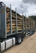 Nadelholzstammholz (gemischt) – 3 LKW-Ladung (150 rm) – Bild 2