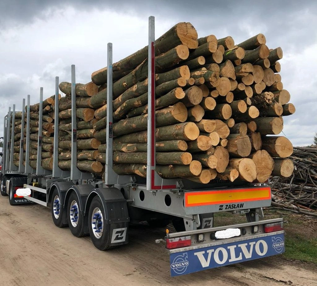 resineux.webp Nadelholzstammholz (gemischt) – 3 LKW-Ladung (150 rm) – Bild 1